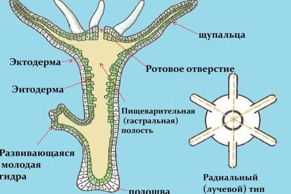 Ссылка на кракен официальный